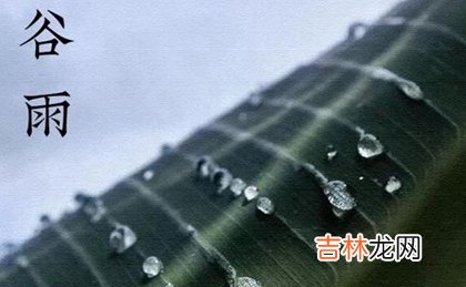 2020年谷雨那天去寺庙烧香祈福好吗,为什么说“春雨贵如油”