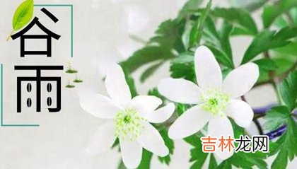 2020年谷雨节气可以乔迁新家吗,搬家前十天到当天注意什么