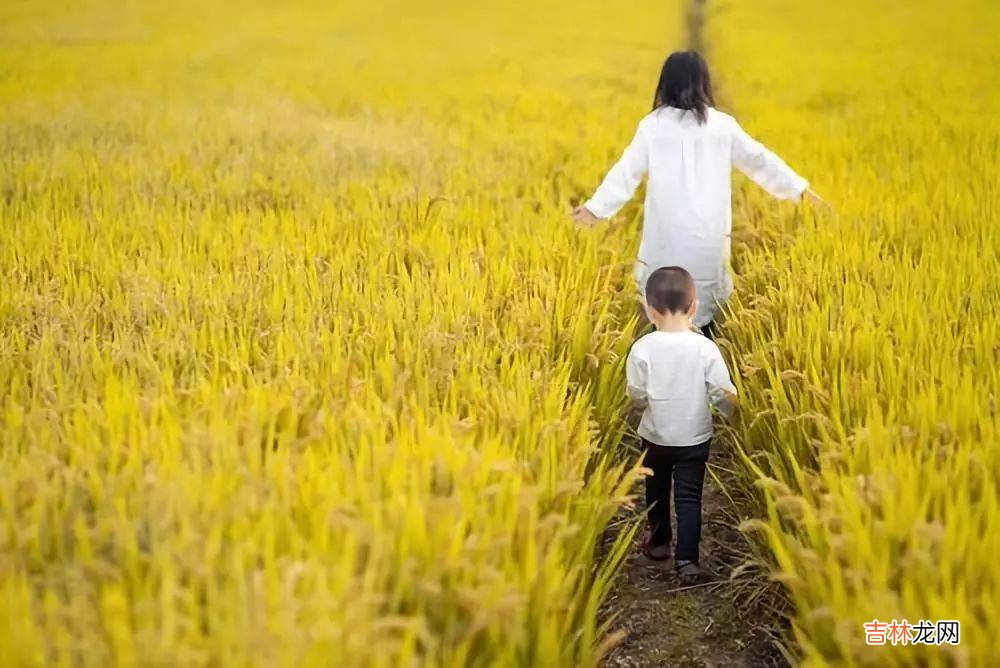 凌晨，一位妈妈的3个反思：孩子到底要经历什么，才能懂学习的重要、父母的不易？
