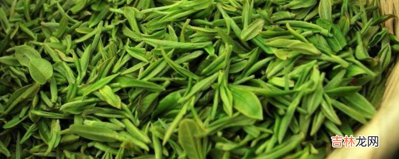 龙井茶为什么不能二泡