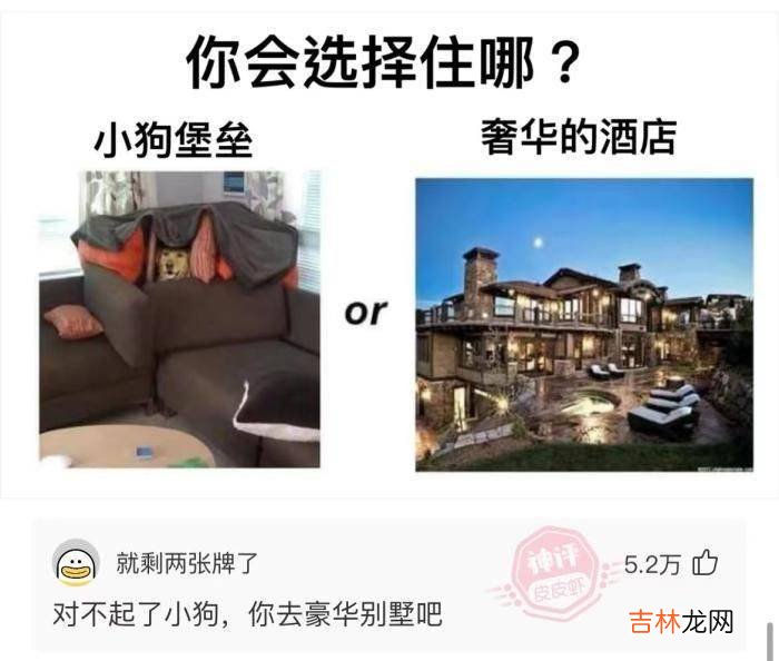 轻松一刻:小猪肠,馅料黄,吃到嘴里直骂娘