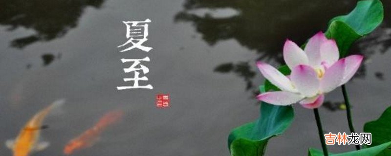 临海夏至吃什么