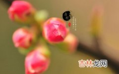 清明节去世的人好吗？去世头七要注意什么？