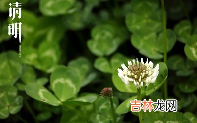 2020庚子年清明节可以烧香拜佛吗？清明谚语有哪些？