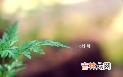 清明节是阳历还是阴历？清明节为什么要插柳？