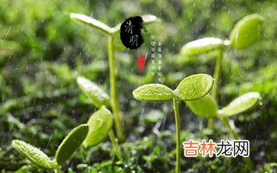 清明节的由来,清明节为什么吃青团?