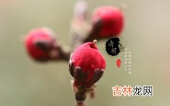 2020庚子年清明节可以理发剪头发吗？清明有什么禁忌？