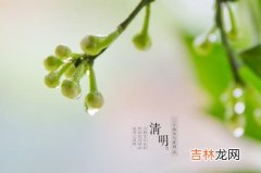 三月十二 2020年清明节是不是结婚吉日，吉凶主什么？