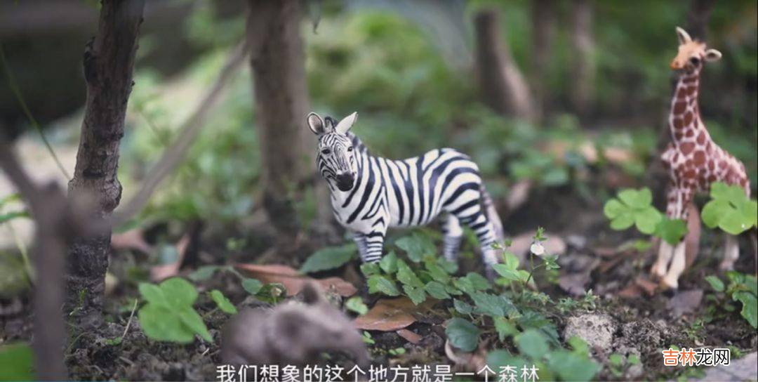 63岁退休大爷，不跳广场舞、不打牌、不带孙子，在自家330㎡庭院建造“火车王国”，自己当总统？