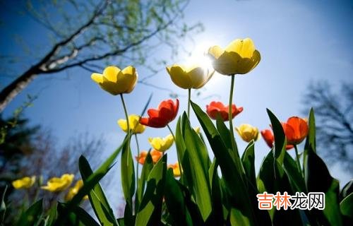 2020年5月5日 立夏·四月十三日子忌冠?理发吗?