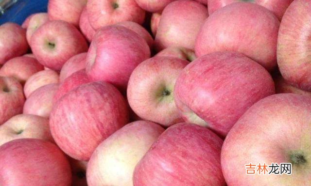 女人怀孕后,把4物当“零食”尽量多吃,或对胎儿大脑发育有好处