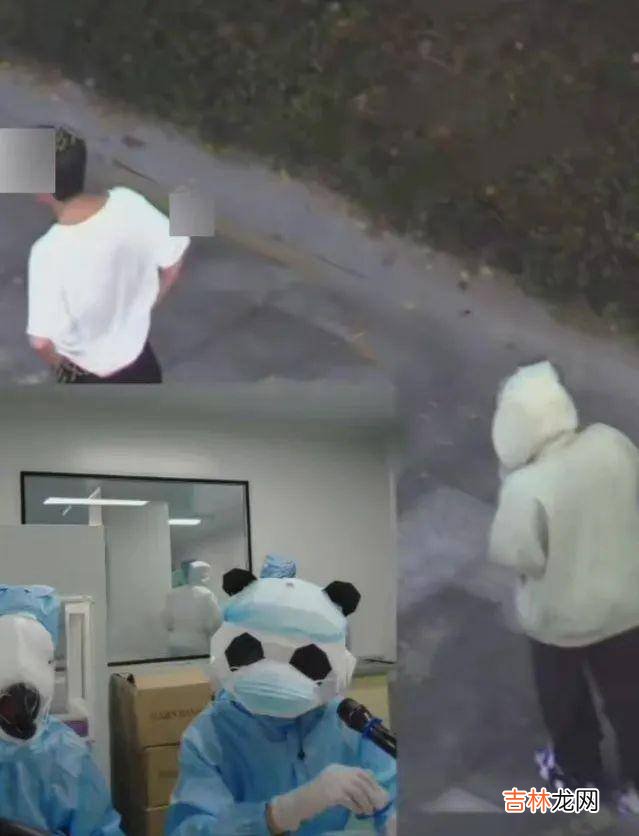 白鹿张凌赫在一起了？两人共度一夜，女方爸爸第二天亲自上门来接