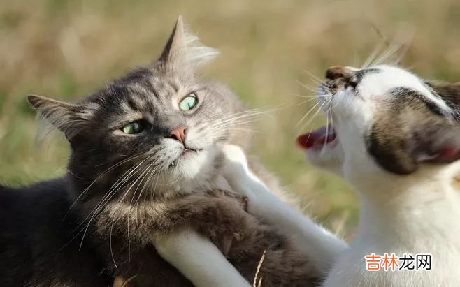 这几种冲突模式，会对亲密关系造成破坏性打击