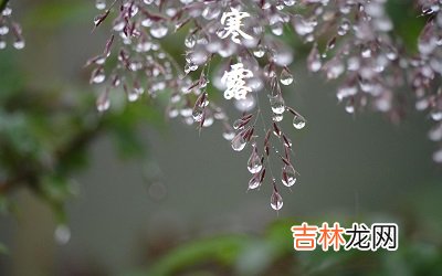 2020年寒露节气出生八字五行缺土女孩起名参考