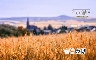 2020年四月二十八小满节气这天祭祀祭祖好吗？