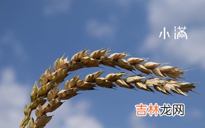 2020年四月二十八小满节气这天祭祀祭祖好吗？
