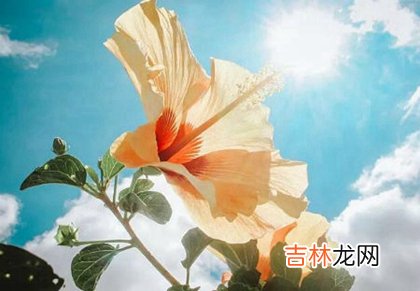 2020年农历三月二十六日子好不好,今天宜出行吗？