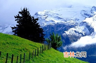 2020年四月初十是黄道吉日吗?5月2日是劳动节放假吗?