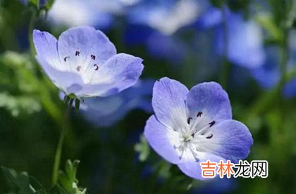 2020年农历三月二十八今天日子是破土修坟的吉日吗?