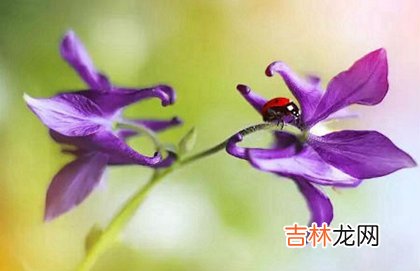 2020年三月廿八-4月20日出行好吗,今日财神吉位查询！