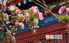 2020庚子鼠年立夏后一天四月十四日是不是好日子？