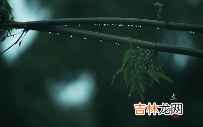 2020庚子鼠年立夏后一天四月十四日是不是好日子？