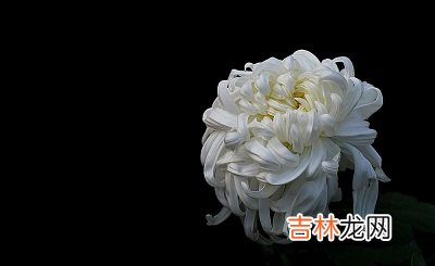 2020庚子鼠四月十一日适不适合祭祀祭祖?