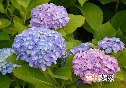 2020年农历四月有哪些日子适合出行出远门?