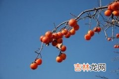 阴历四月二十八 2020年小满节气理发合适吗，梳发讲究！