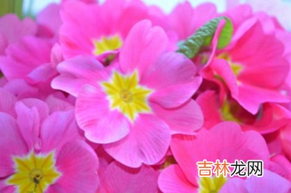 2020年闰四月生孩子好吗,闰四月最后一天出生命理！