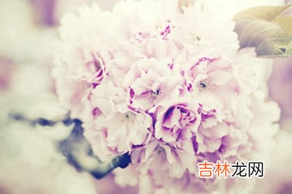2020年闰四月出生宝宝命局如何,闰四月十五出生宝宝好吗