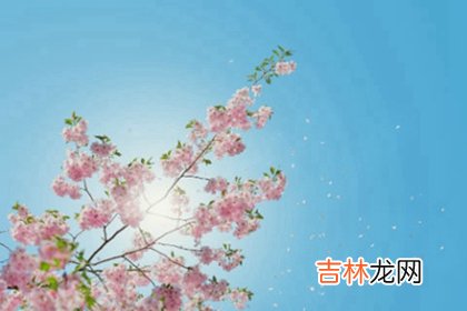 2020年闰四月出生宝宝命局如何,闰四月十五出生宝宝好吗