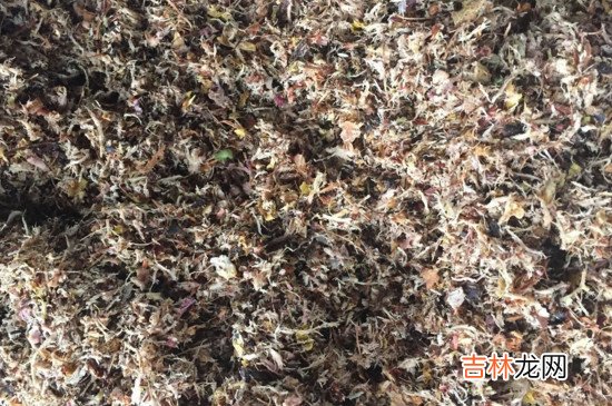 中药渣可以做花肥吗