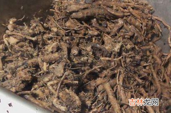 中药渣可以做花肥吗