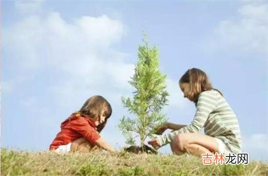 算卦,鼠年3.12植树节快到了,这一天一定要种树吗?