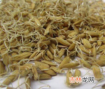 女性湿气重别担心,日常坚持吃6物,助你排出湿气,赶走大肚腩