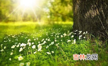 风水婚姻,2020年鼠年农历四月十一今日适不适合破土迁坟？