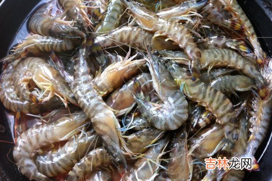 冬枣和虾可以一起吃吗
