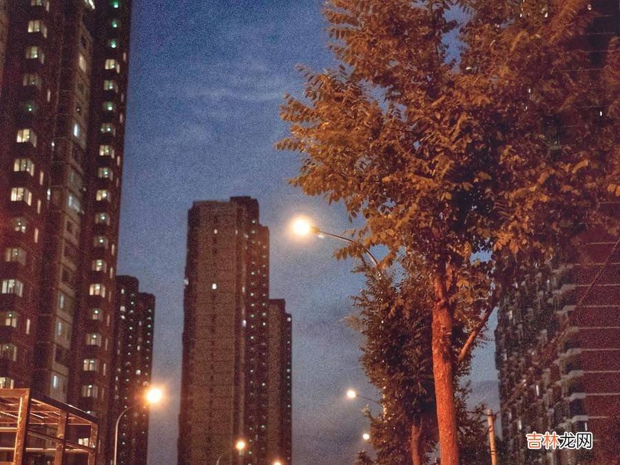 你,就是自己的锦鲤