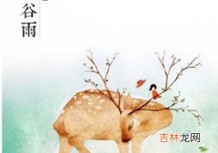 周易占卜,2020鼠年谷雨节气是哪天，五行之性是什么？