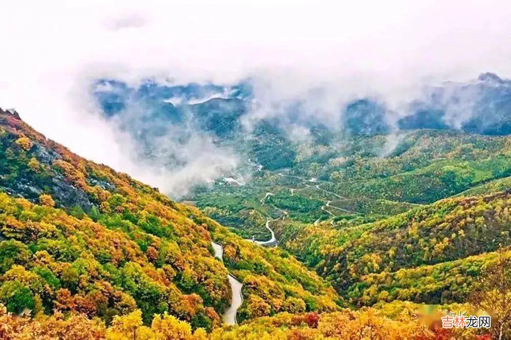 杨健:乡村教育不能等待