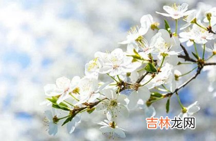 在线精准算命,2020年阴历四月十-5月3日黄历日子适合出行出远门吗？