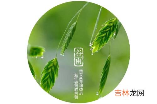 事业财运,谷雨节气在什么日期交节,农历是什么时候?