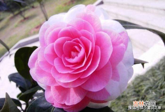 人生感悟：人生在世，无非是笑笑别人，然后再让别人笑笑自己