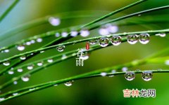 阳历、阴历 好运网在线起名,2020年谷雨是什么时候—日期查询