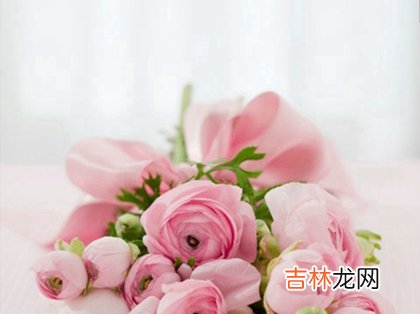 抽签算命,2020年农历三月出生的鼠好吗,属于什么星座？