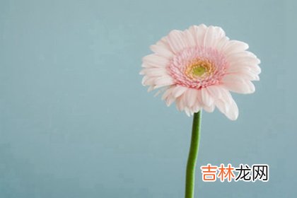 免费算命大全,2020年鼠年农历三月生的人命运如何,三月命理解析！