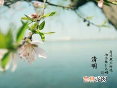 生辰八字解读,清明节出生的人和鬼节出生的人命运好不好？是鬼仔吗？