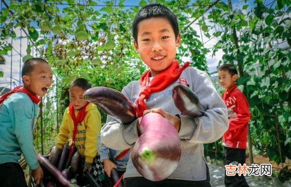 在这所云南村小，上千师生三餐吃的都是自己种的