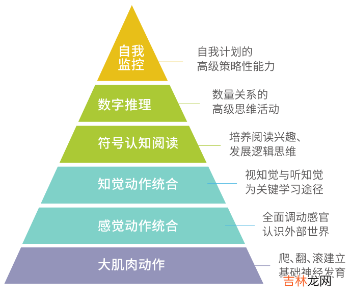 家有小学生的家长们，孩子这项能力的培养，抓紧了！